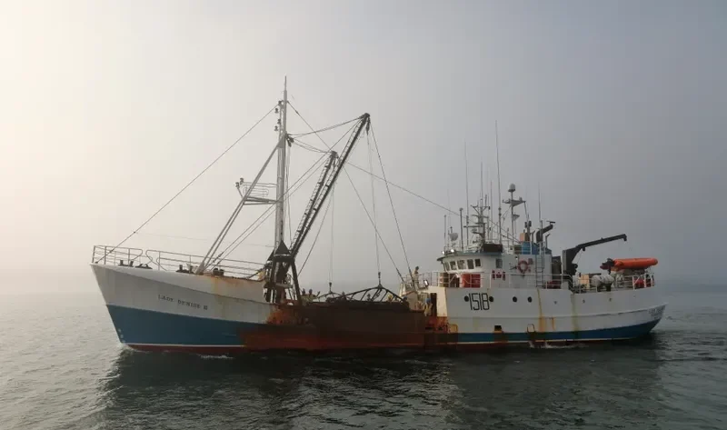 LADY DENISE II General Cargo IMO 5423788 photo 7