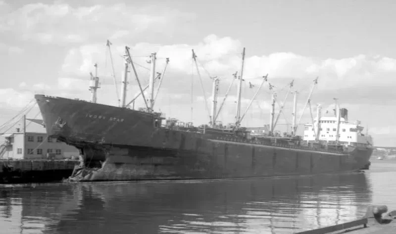 IAPETOS Bulk Carrier IMO 5424316