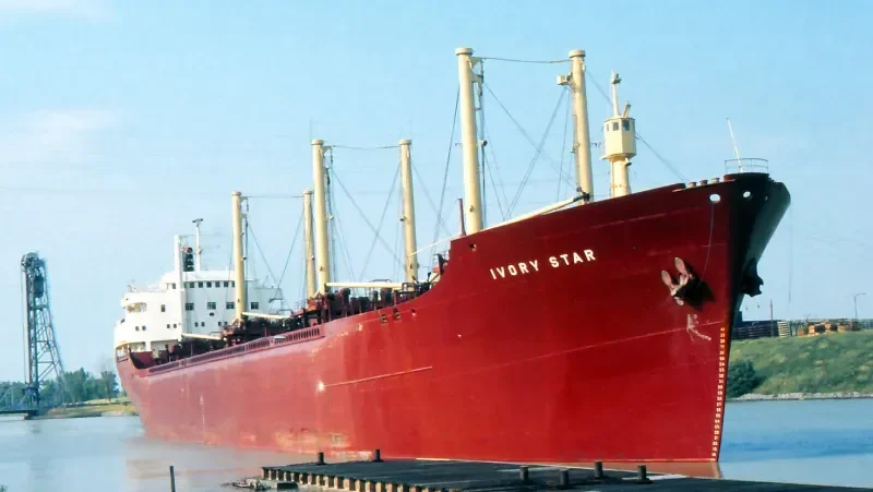 IAPETOS Bulk Carrier IMO 5424316 photo 2