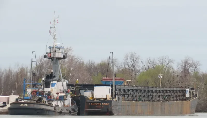 SALVOR General Cargo IMO 5427019 photo 2