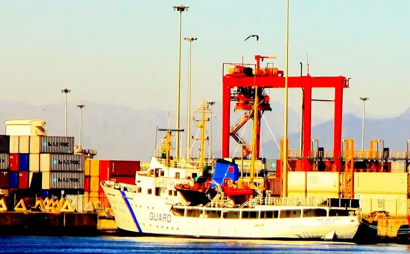 WHITE PALM General Cargo IMO 5427784 photo 6