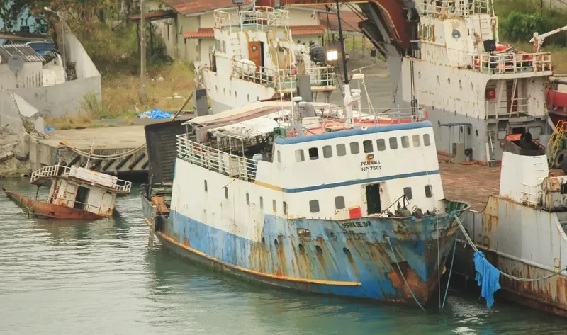 DELFINA DEL MAR Ro-Ro IMO 5429029