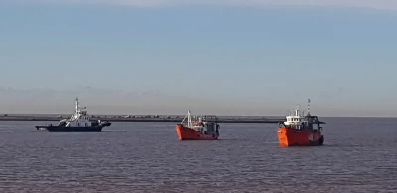 PINTAMAR General Cargo IMO 6016685