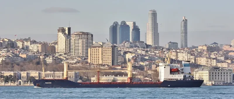 SINEGORSK General Cargo IMO 6405068
