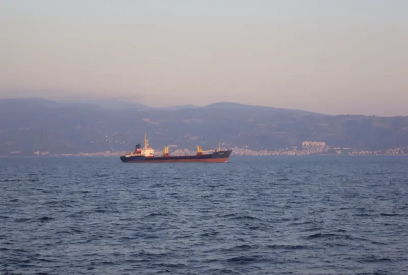 SINEGORSK General Cargo IMO 6405068 photo 2