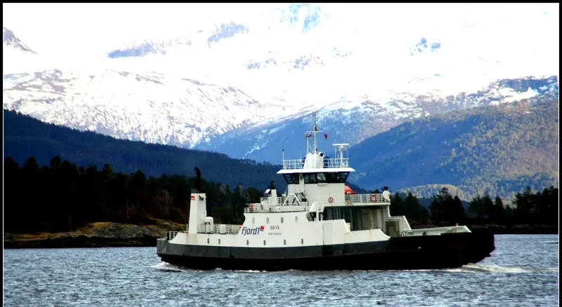 DRIVA Ro-Ro IMO 6405238 photo 2