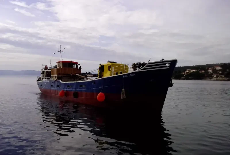 PLAVI JADRAN General Cargo IMO 6406244