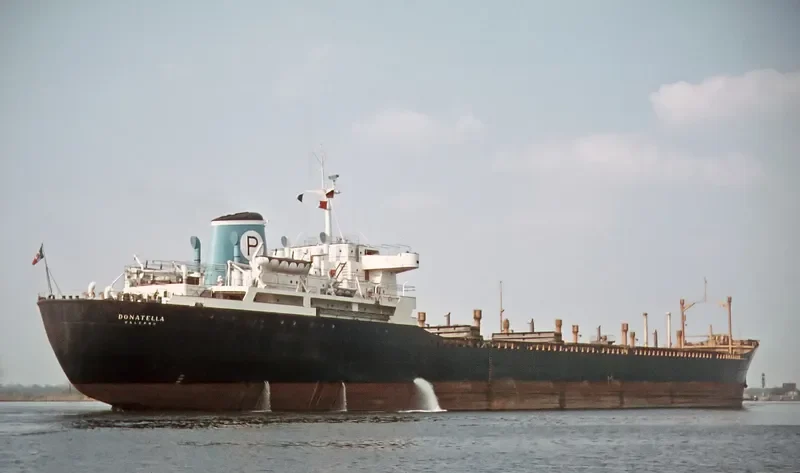 GREAT GLORY Bulk Carrier IMO 6407353