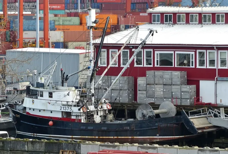ROYAL CITY General Cargo IMO 6409301 photo 3