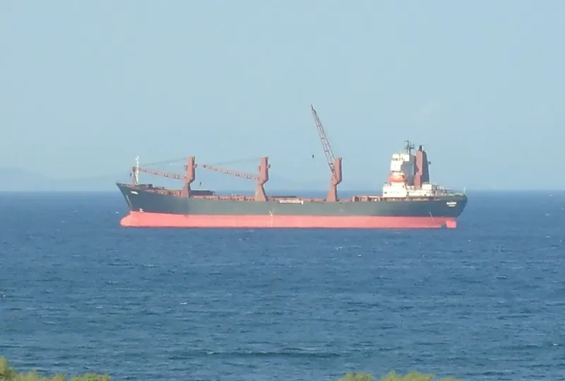 MADRE General Cargo IMO 6416770 photo 3