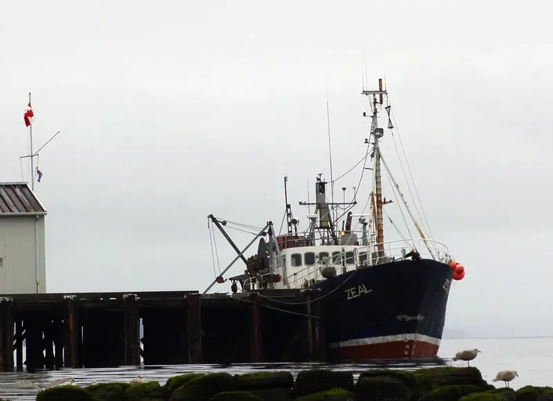 ZEAL General Cargo IMO 6420513 photo 9
