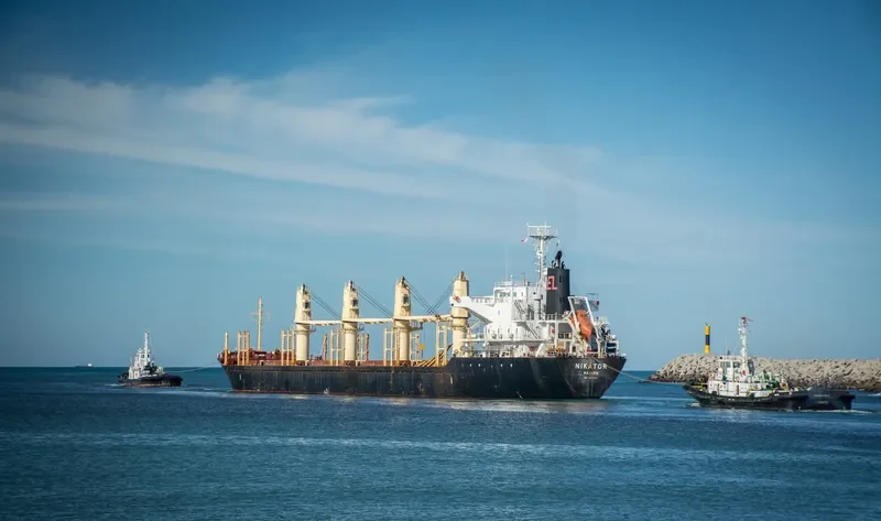 NIKATOR Bulk Carrier IMO 6420575