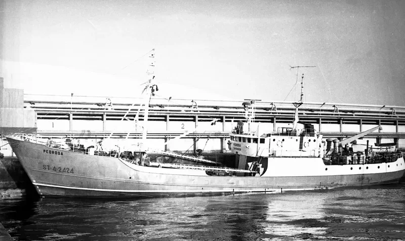 PEDROSA General Cargo IMO 6420812
