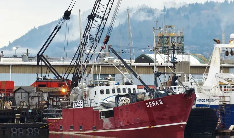 SENA II General Cargo IMO 6422602 photo 3
