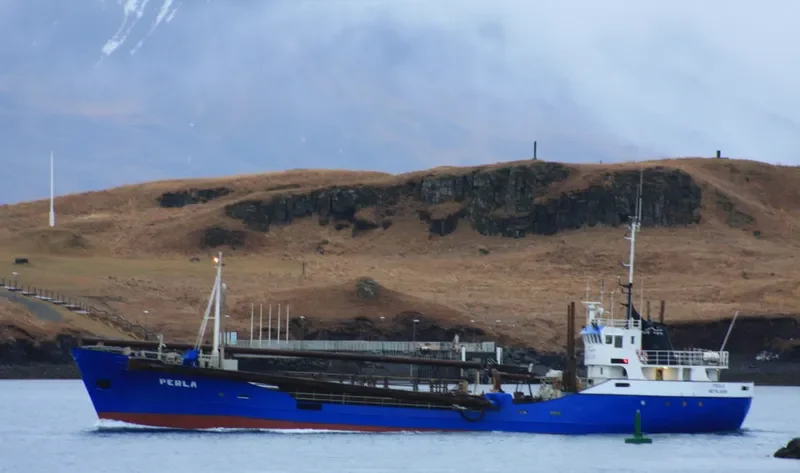 PERLA General Cargo IMO 6423137 photo 9