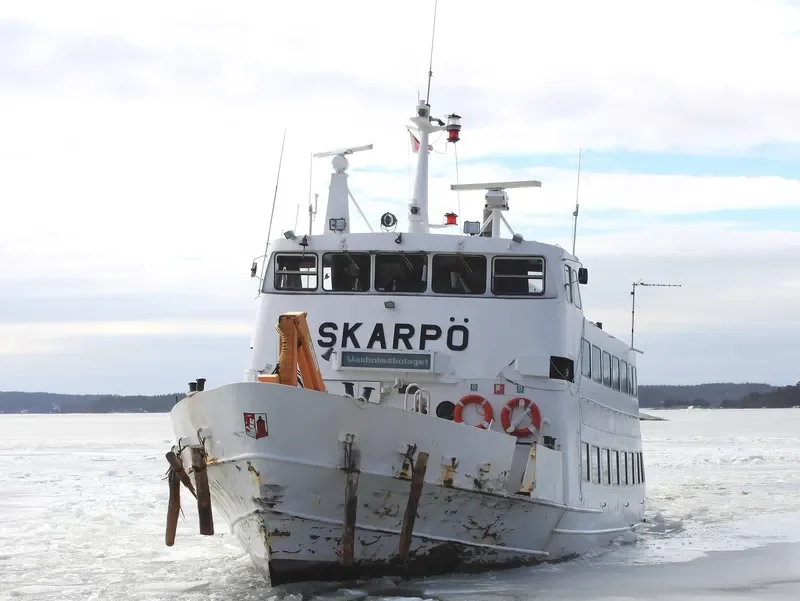 SKARPO Passenger Ship IMO 6501769 photo 7