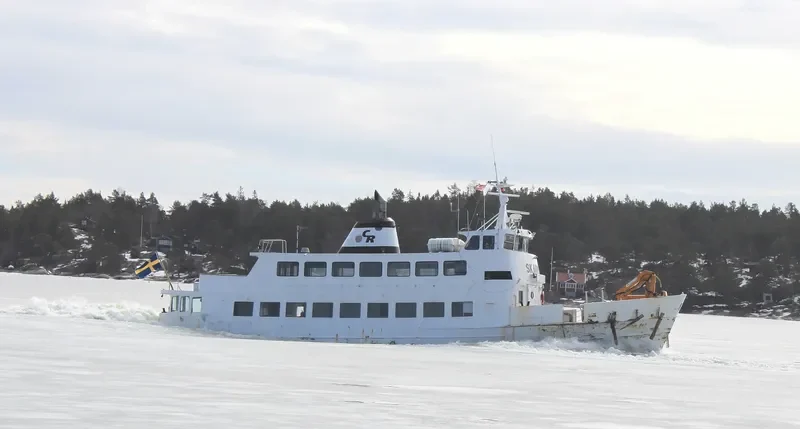 SKARPO Passenger Ship IMO 6501769 photo 8