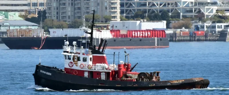 SEASPAN QUEEN General Cargo IMO 6503731 photo 4