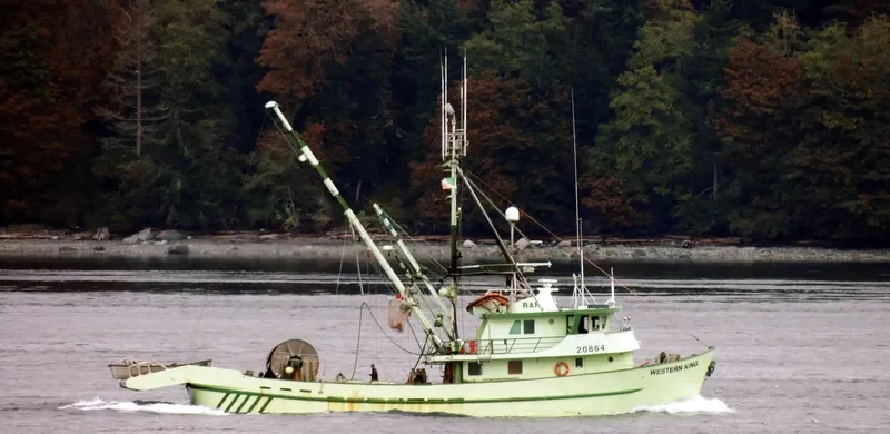 WESTERN KING General Cargo IMO 6503896 photo 4