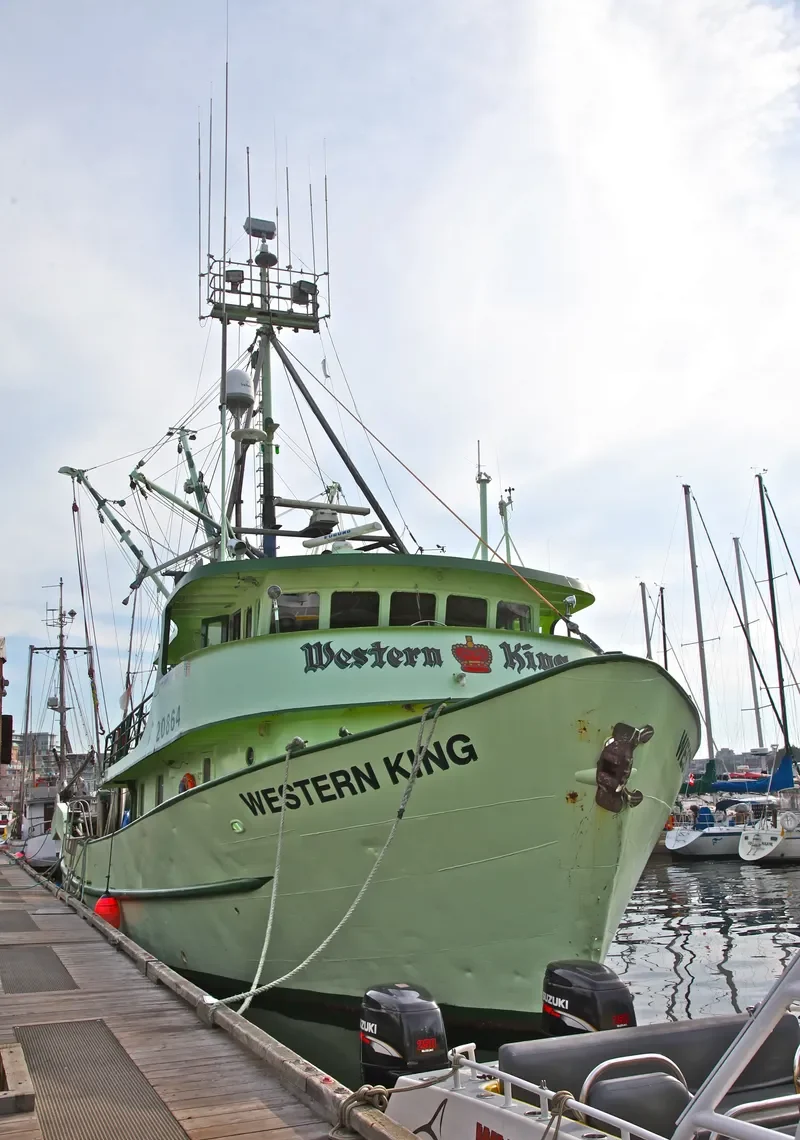 WESTERN KING General Cargo IMO 6503896 photo 10