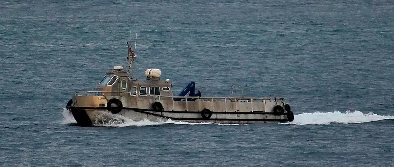 ALPHA Passenger Ship IMO 6504101