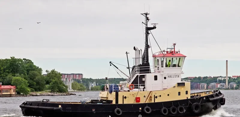 HALLSTA General Cargo IMO 6505686