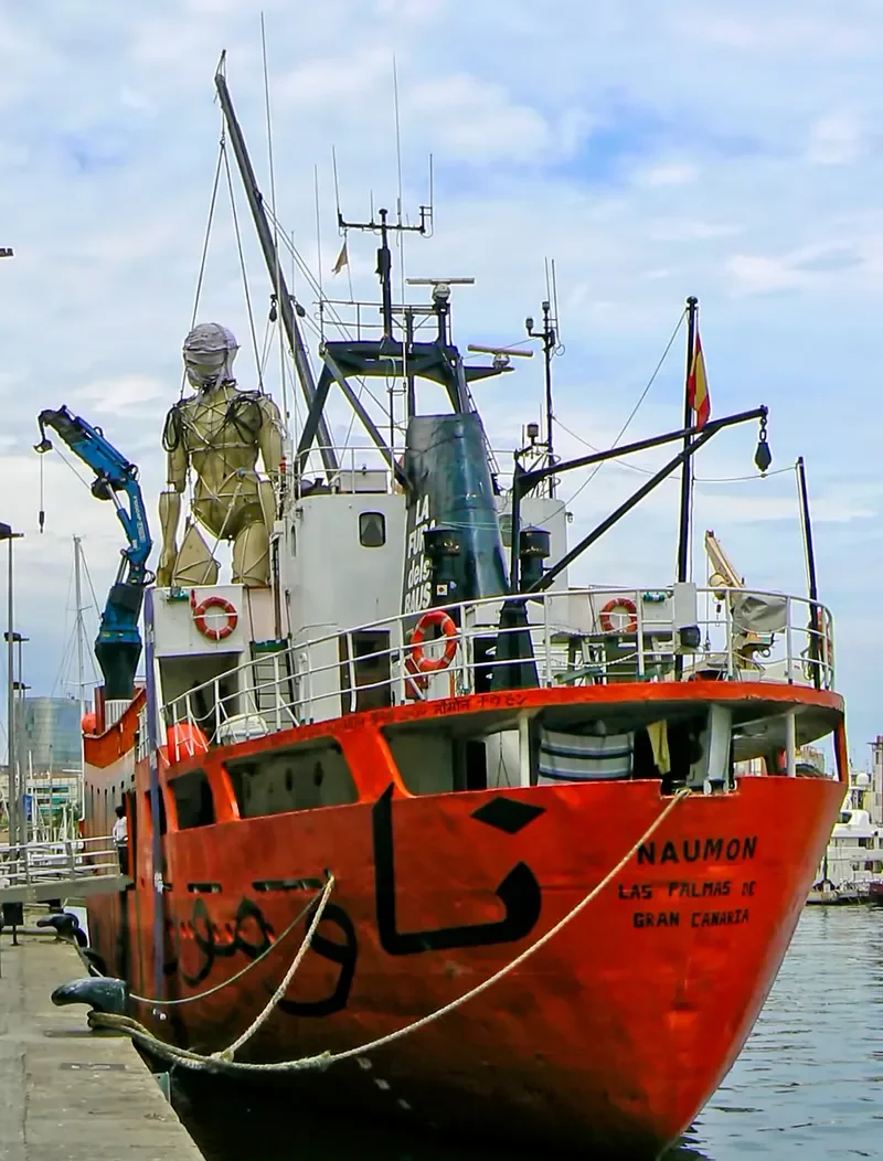 NAUMON General Cargo IMO 6506329 photo 8