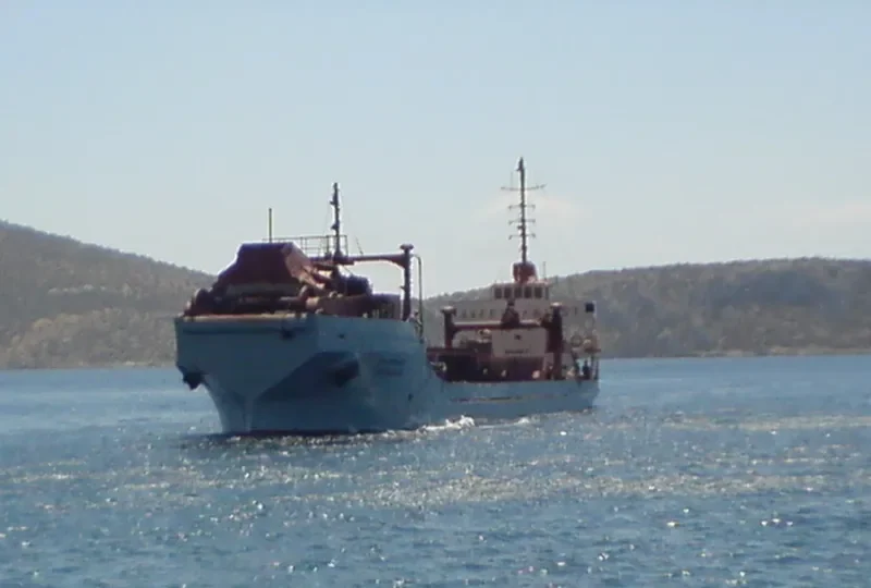 PARNASSOS Bulk Carrier IMO 6506771 photo 3