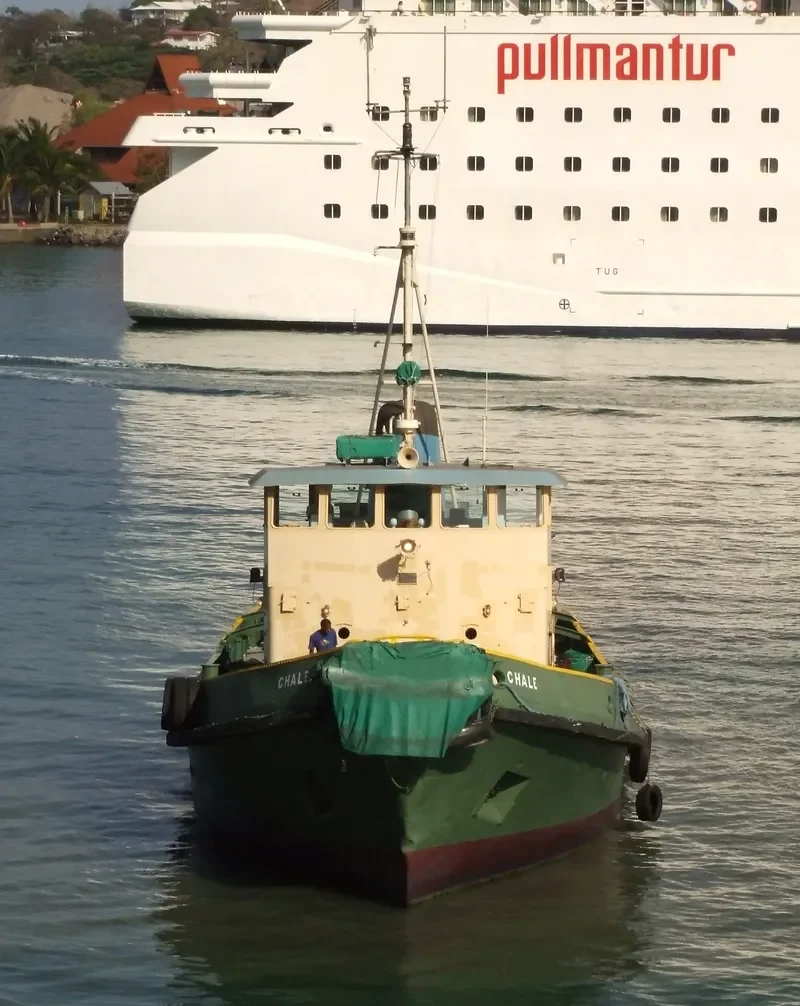 CHALE General Cargo IMO 6513023 photo 6