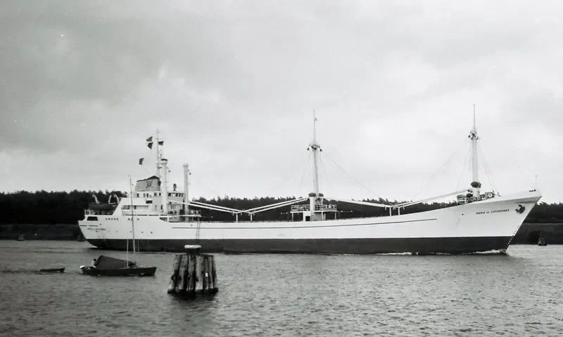 GOLD STAR General Cargo IMO 6513255