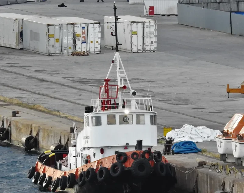 ALEXANDROS General Cargo IMO 6514388 photo 3