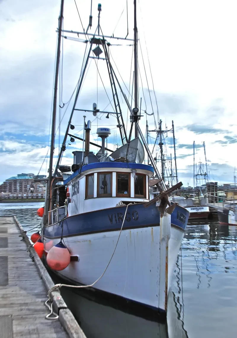 VIRGO General Cargo IMO 6514546 photo 2
