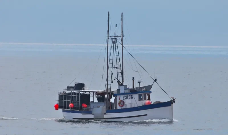 VIRGO General Cargo IMO 6514546 photo 3