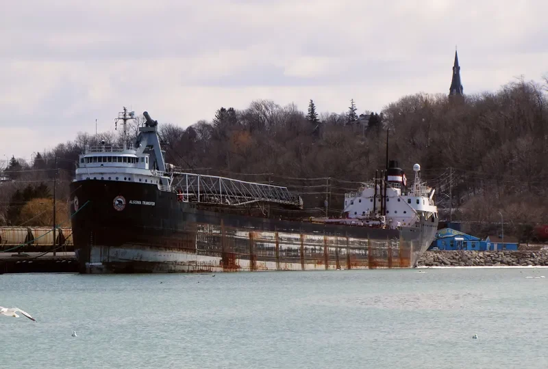ALGOMA TRANSFER Bulk Carrier IMO 6514869