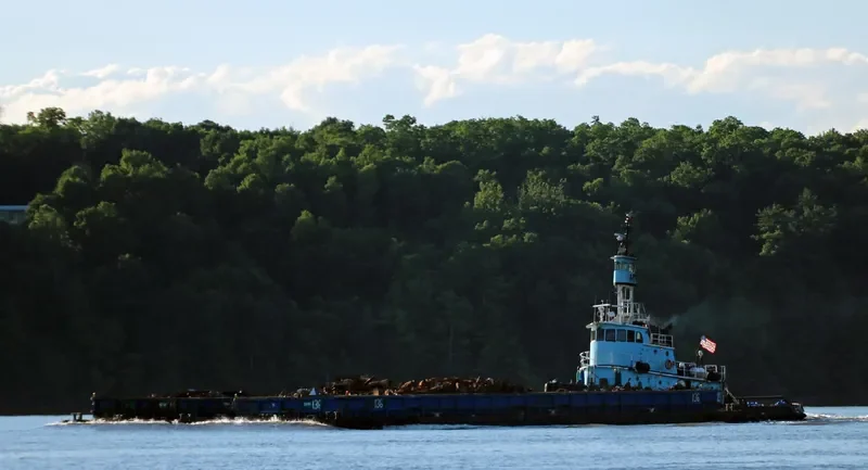 EMILY ANN General Cargo IMO 6515667 photo 4