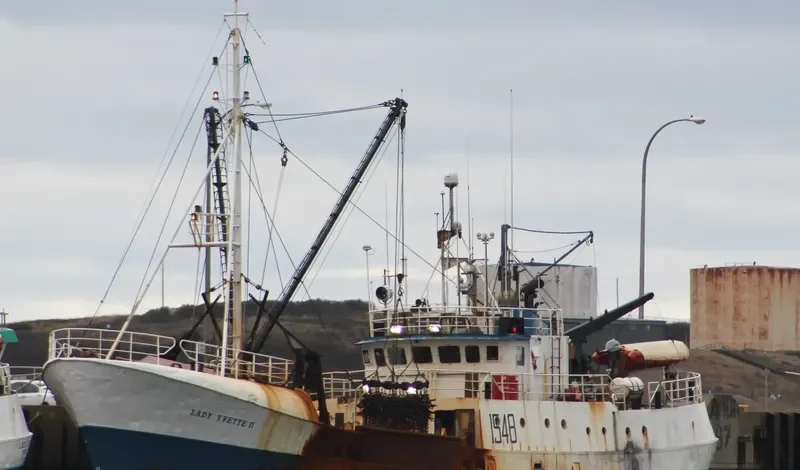 LADY YVETTE II General Cargo IMO 6515734 photo 2