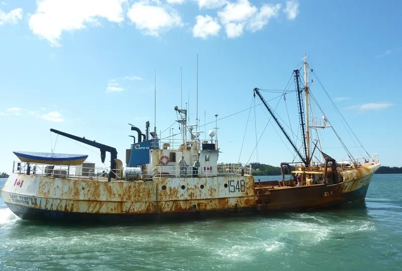 LADY YVETTE II General Cargo IMO 6515734 photo 4