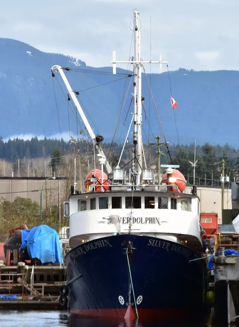 SILVER DOLPHIN General Cargo IMO 6515825