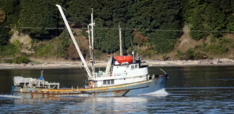 SILVER DOLPHIN General Cargo IMO 6515825 photo 3