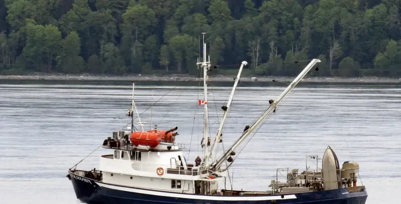 SILVER DOLPHIN General Cargo IMO 6515825 photo 6