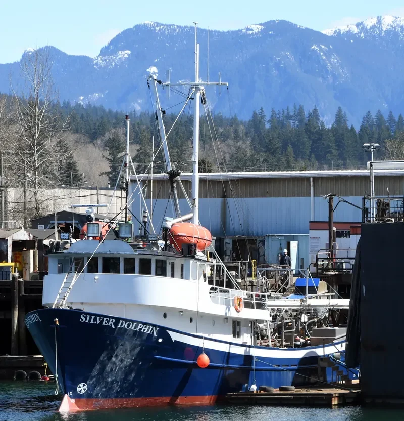 SILVER DOLPHIN General Cargo IMO 6515825 photo 8