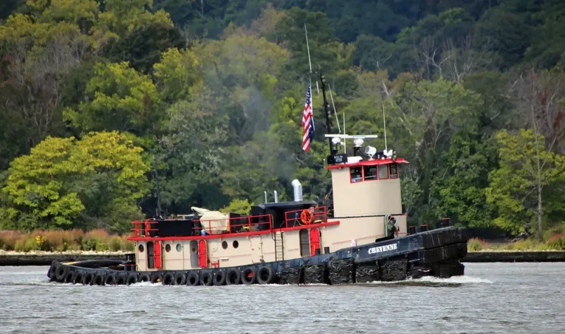 CHEYENNE General Cargo IMO 6515851 photo 2