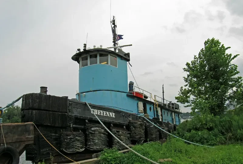 CHEYENNE General Cargo IMO 6515851 photo 4