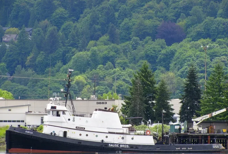 CLAYTON ARTHUR General Cargo IMO 6516934 photo 9