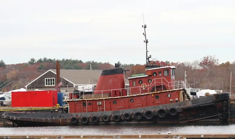 OCEAN KING General Cargo IMO 6517550 photo 9