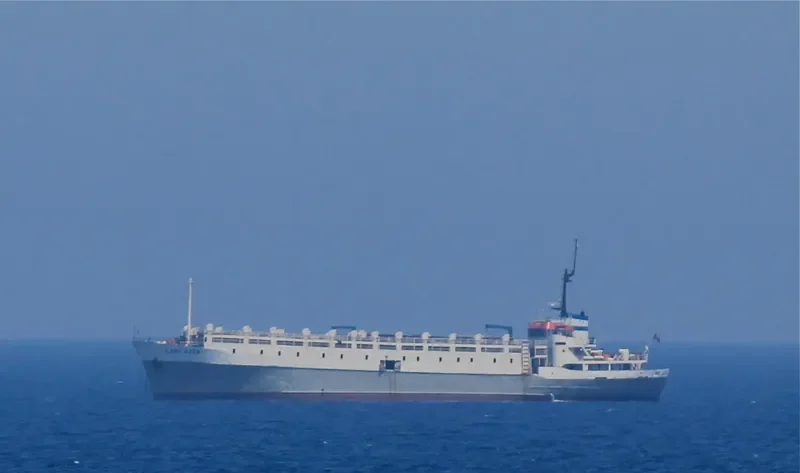 LADY MARIA General Cargo IMO 6518425 photo 8