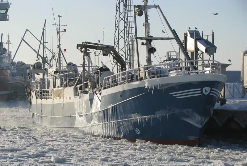 SILVERFORS General Cargo IMO 6519156