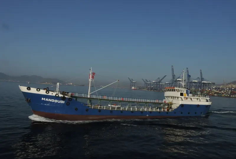 HEPHAESTUS General Cargo IMO 6519326 photo 3