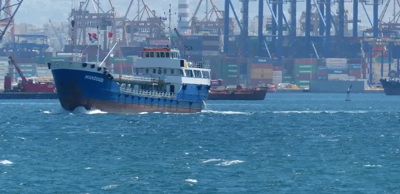HEPHAESTUS General Cargo IMO 6519326 photo 10