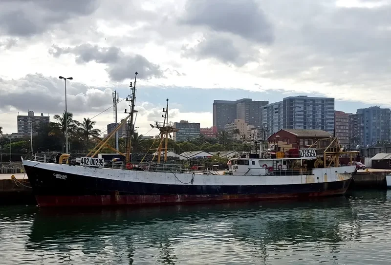 CAROLINE General Cargo IMO 6520583